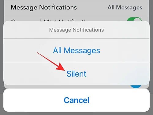 Choose the Silent option
